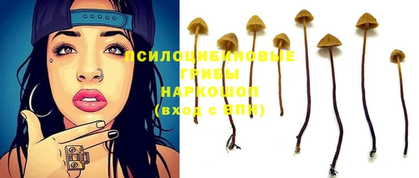 твердый Армянск