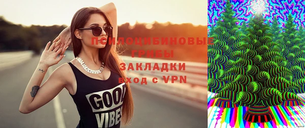 твердый Армянск