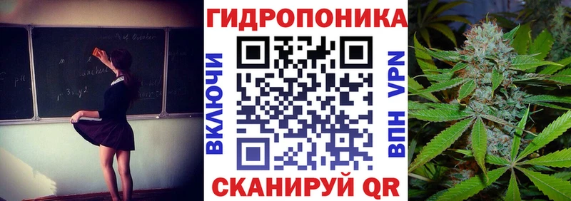 Шишки марихуана Amnesia  Ахтубинск 